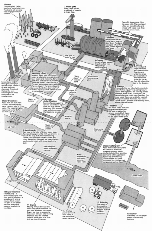 Stages in Newspaper Production